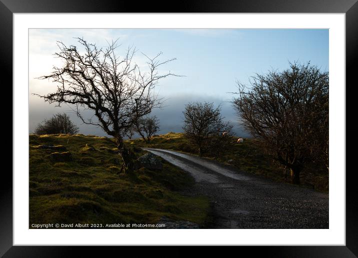 Cuilcagh Legnabrocky Trail Framed Mounted Print by David Albutt