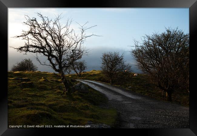 Cuilcagh Legnabrocky Trail Framed Print by David Albutt