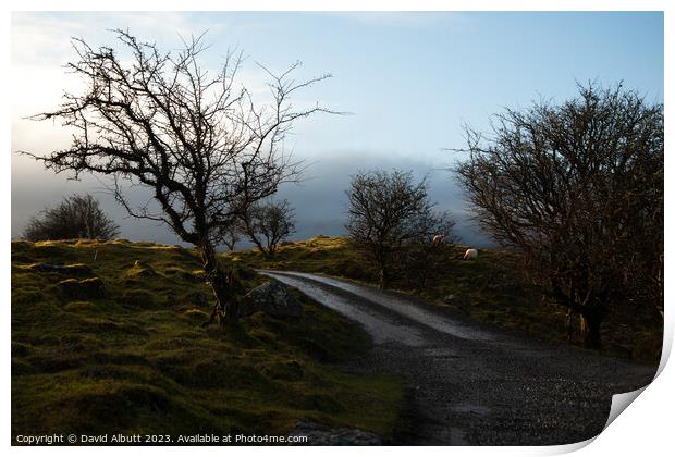 Cuilcagh Legnabrocky Trail Print by David Albutt
