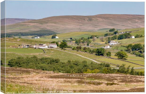 Forest in Teesdale from Holwick Fell Canvas Print by Richard Laidler