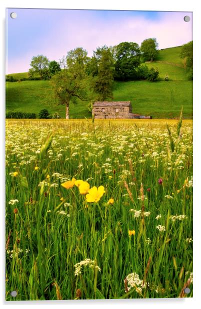 Summer Memories: Muker Wildflower Meadow Acrylic by Tim Hill