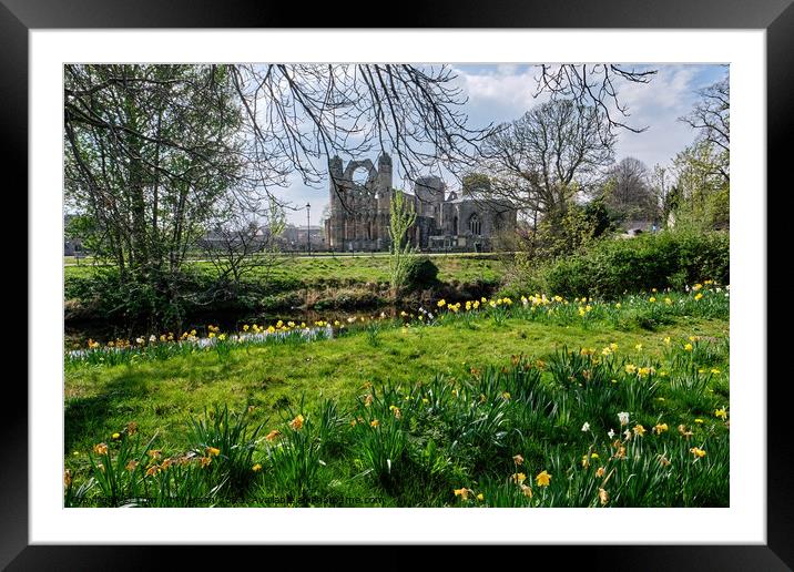 Serene Beauty of Elgin Cathedral Framed Mounted Print by Tom McPherson