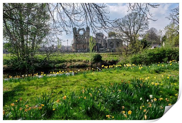 Serene Beauty of Elgin Cathedral Print by Tom McPherson