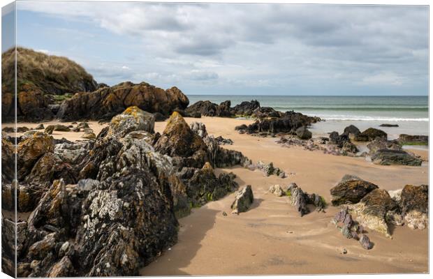 Aberffraw beach, Anglesey, North Wales Canvas Print by Andrew Kearton