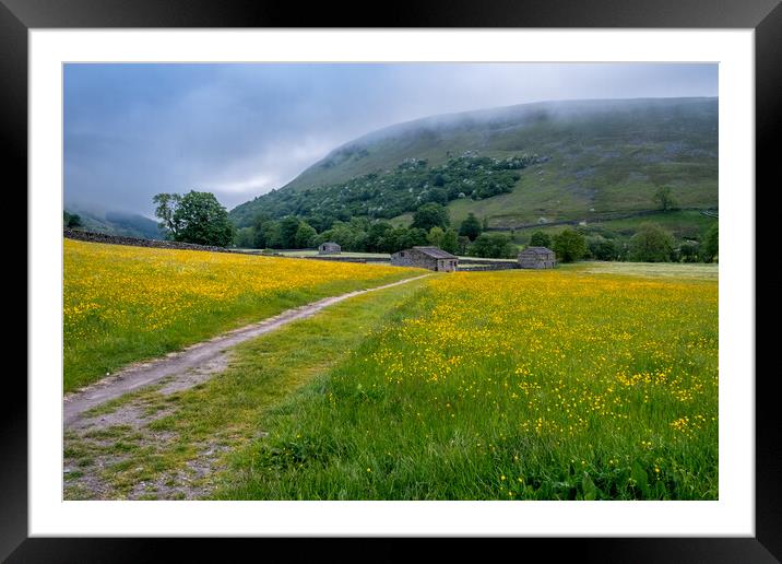 Yellow Meadows At Muker Framed Mounted Print by Steve Smith