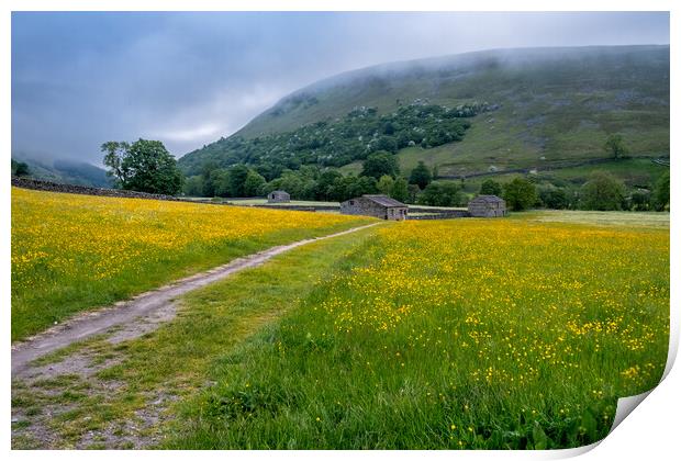 Yellow Meadows At Muker Print by Steve Smith