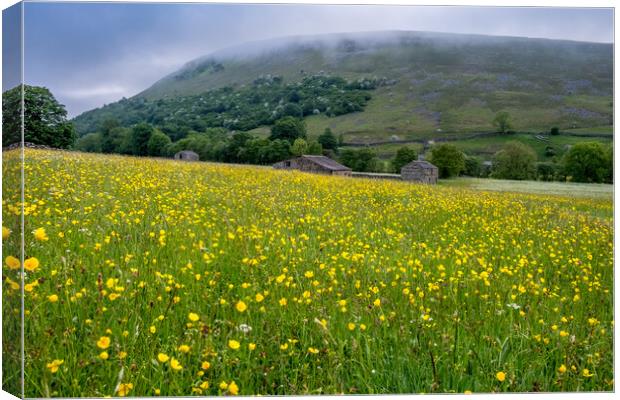 The Muker Buttercups Canvas Print by Steve Smith