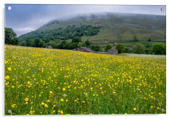 The Muker Buttercups Acrylic by Steve Smith