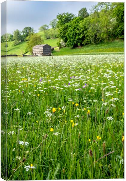 Wild Flowers At Muker Canvas Print by Steve Smith