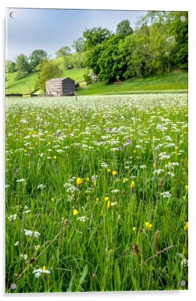 Wild Flowers At Muker Acrylic by Steve Smith