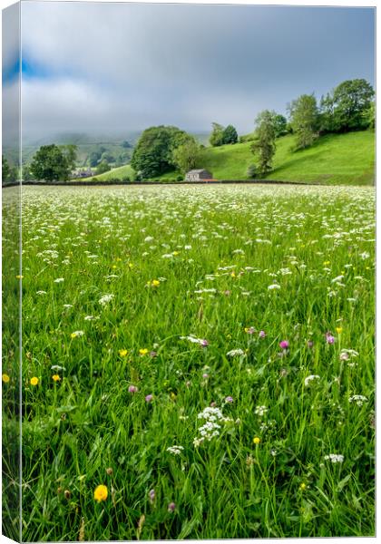 Late Spring At Muker Canvas Print by Steve Smith