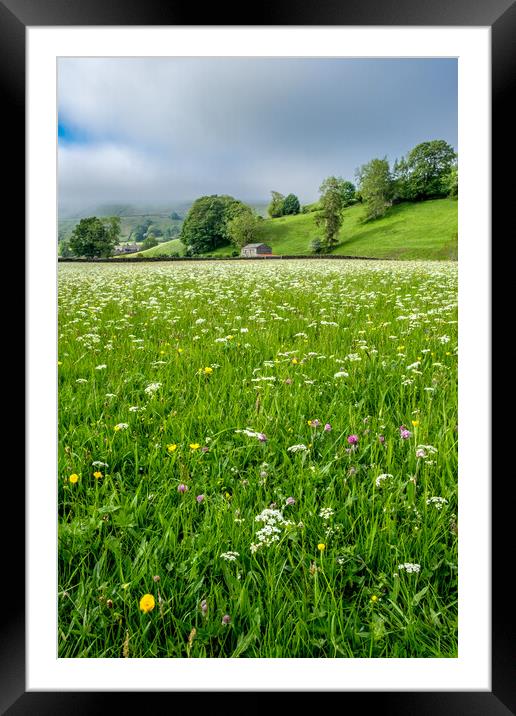 Late Spring At Muker Framed Mounted Print by Steve Smith