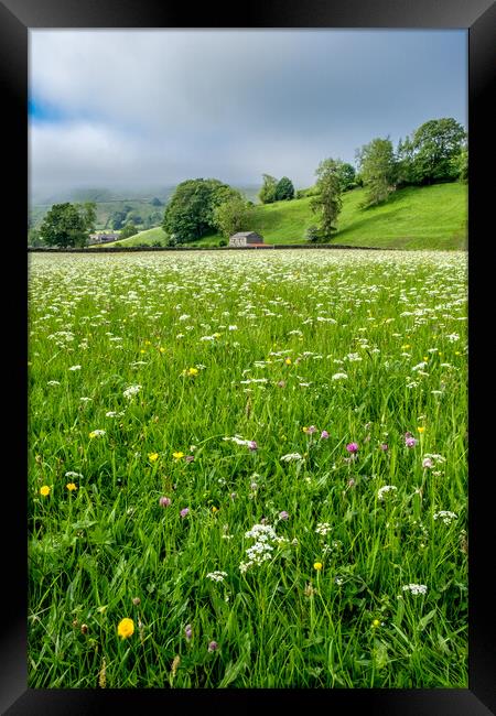 Late Spring At Muker Framed Print by Steve Smith