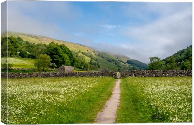 The Paths at Muker Canvas Print by Steve Smith