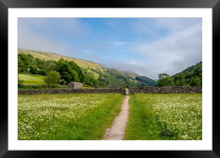 The Paths at Muker Framed Mounted Print by Steve Smith