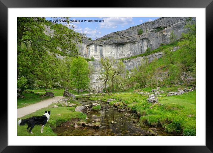 Dog Days Out At Malham Cove Framed Mounted Print by Alison Chambers