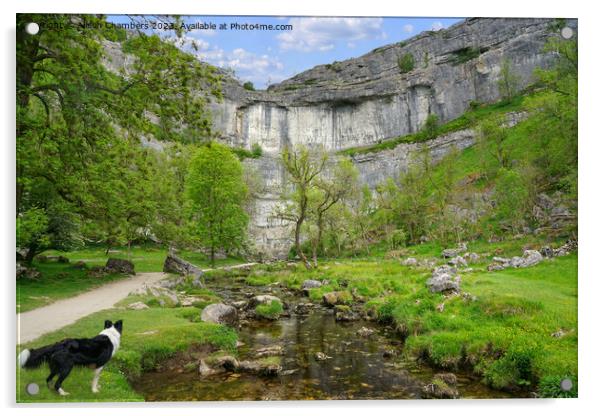 Dog Days Out At Malham Cove Acrylic by Alison Chambers