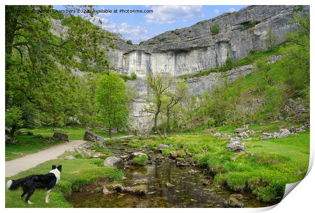 Dog Days Out At Malham Cove Print by Alison Chambers