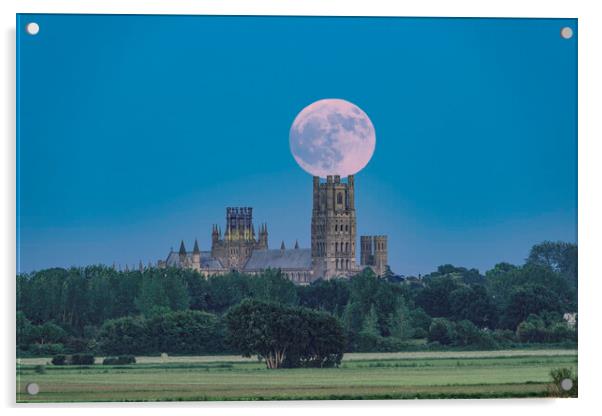 Moonrise behind Ely Cathedral, 3rd June 2023 Acrylic by Andrew Sharpe