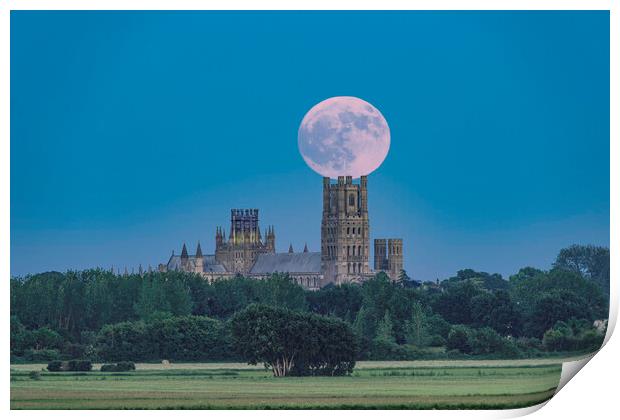 Moonrise behind Ely Cathedral, 3rd June 2023 Print by Andrew Sharpe