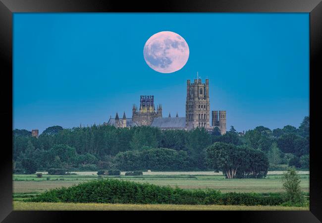 Moonrise behind Ely Cathedral, 3rd June 2023 Framed Print by Andrew Sharpe
