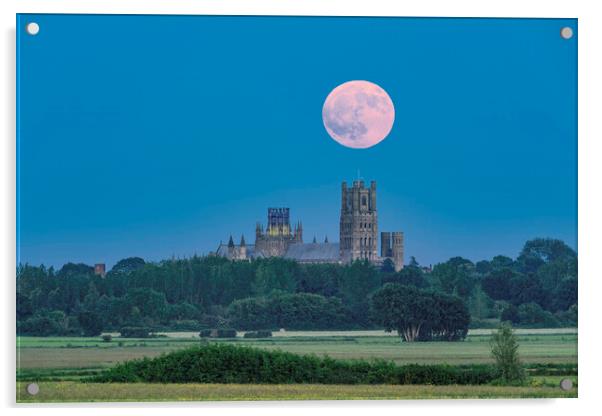 Moonrise behind Ely Cathedral, 3rd June 2023 Acrylic by Andrew Sharpe