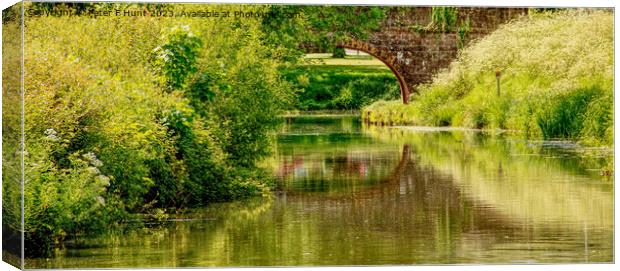 The Lush Green Of The Canal Canvas Print by Peter F Hunt