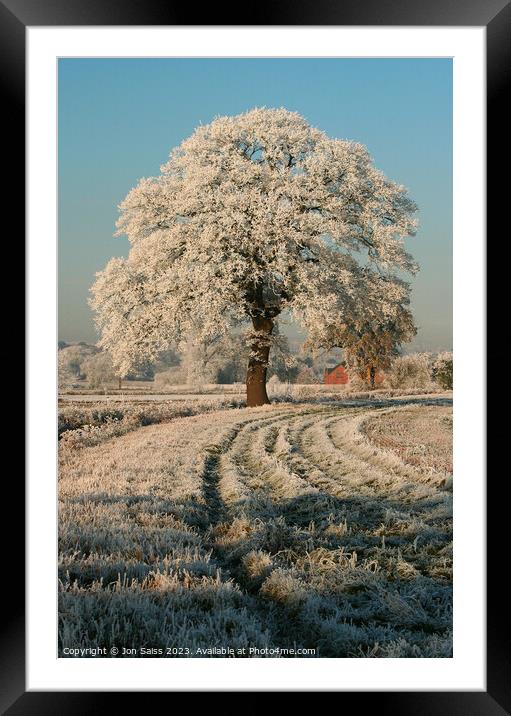 Snow covered Tree Framed Mounted Print by Jon Saiss