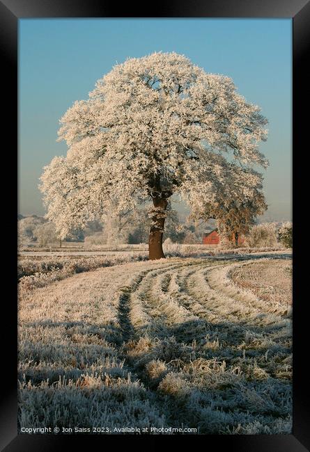Snow covered Tree Framed Print by Jon Saiss