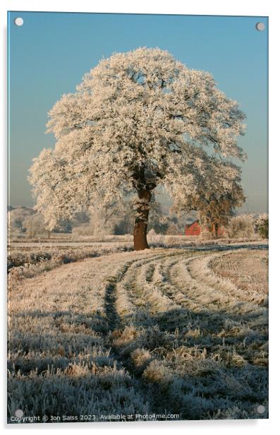 Snow covered Tree Acrylic by Jon Saiss
