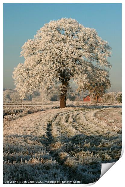 Snow covered Tree Print by Jon Saiss