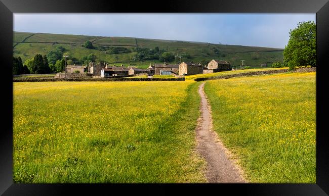 Muker Village and Stunning Buttercup Meadows Framed Print by Tim Hill