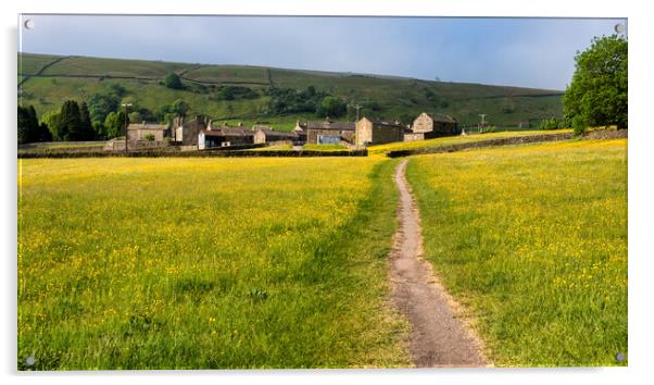Muker Village and Stunning Buttercup Meadows Acrylic by Tim Hill