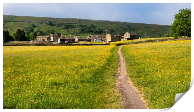 Muker Village and Stunning Buttercup Meadows Print by Tim Hill