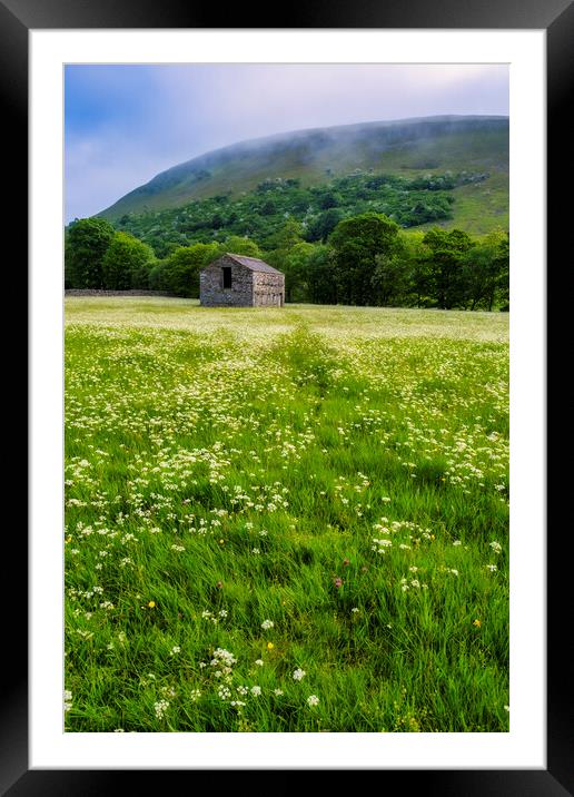 Muker Wildflower Meadows Swaledale Framed Mounted Print by Tim Hill