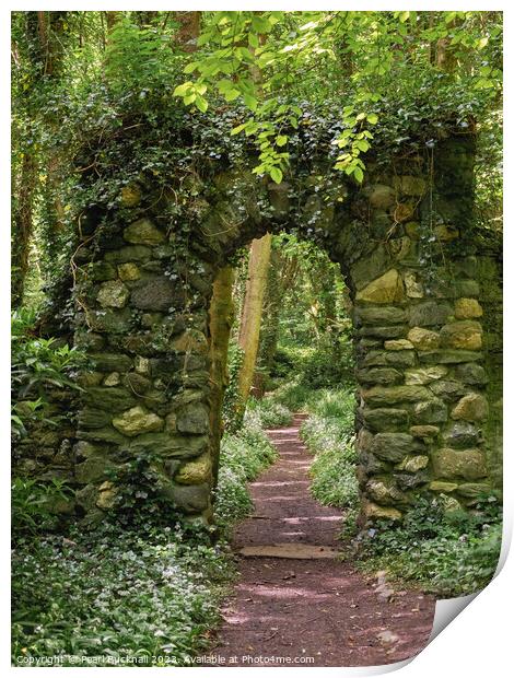 Woodland Path Through a Stone Arch Print by Pearl Bucknall