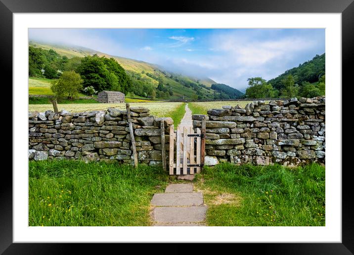 Muker Wildflower Meadows Swaledale Framed Mounted Print by Tim Hill