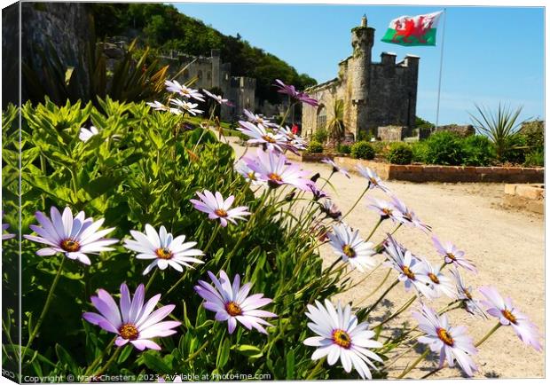Gwrych Castle flowers Canvas Print by Mark Chesters