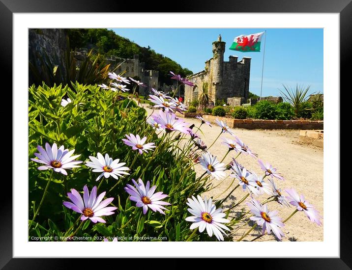 Gwrych Castle flowers Framed Mounted Print by Mark Chesters