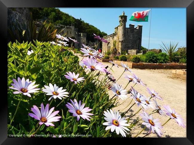Gwrych Castle flowers Framed Print by Mark Chesters
