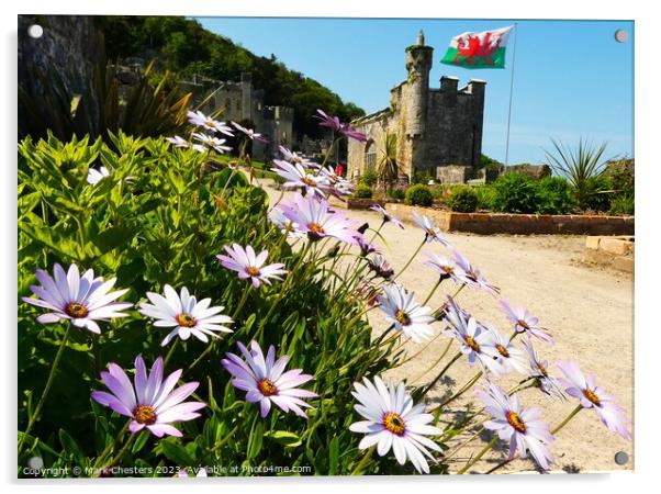 Gwrych Castle flowers Acrylic by Mark Chesters