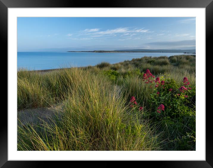 Instow sand dunes Framed Mounted Print by Tony Twyman