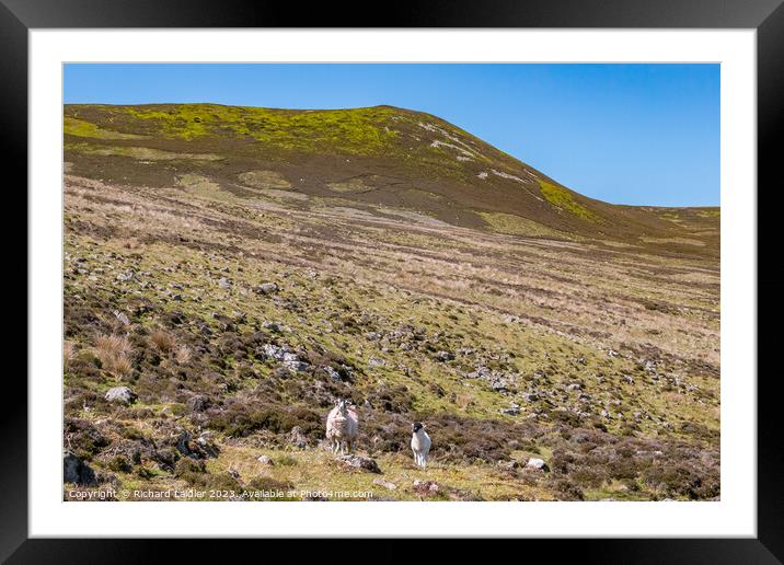 Noon Hill, Teesdale Framed Mounted Print by Richard Laidler