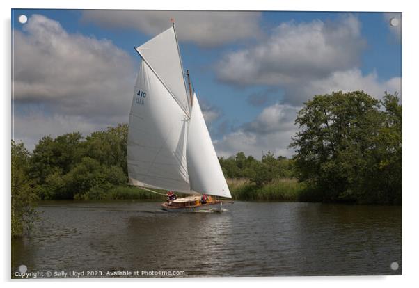The Three Rivers Race, Norfolk 2023 Acrylic by Sally Lloyd