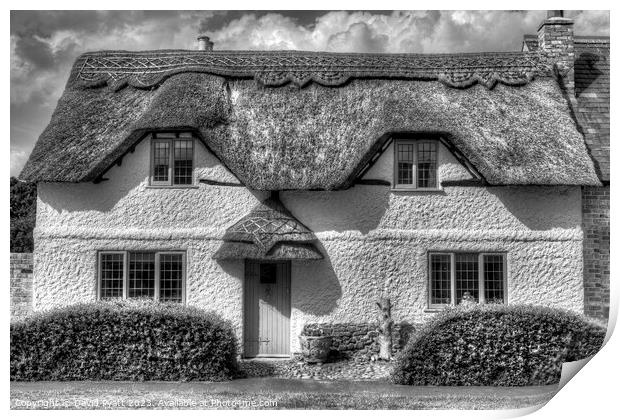 English Country Thatched Cottage  Print by David Pyatt