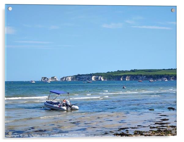 View of old Harry's rocks from knoll beach studlan Acrylic by Les Schofield