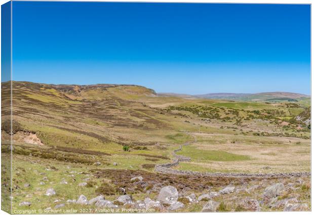 Green Trod to Cronkley Teesdale Panorama Canvas Print by Richard Laidler