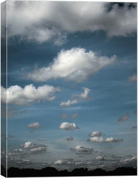 white fluffy clouds Canvas Print by Heather Newton