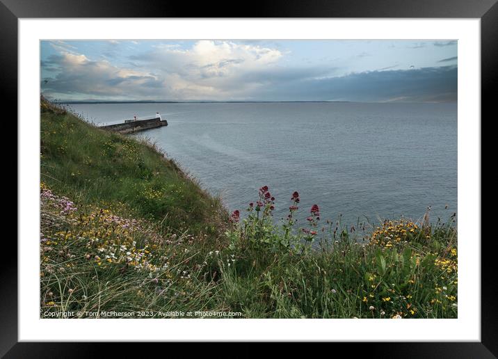 Burghead Pier  Framed Mounted Print by Tom McPherson
