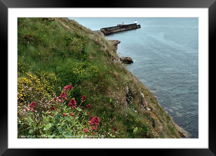 Beauty Above the Pier Framed Mounted Print by Tom McPherson